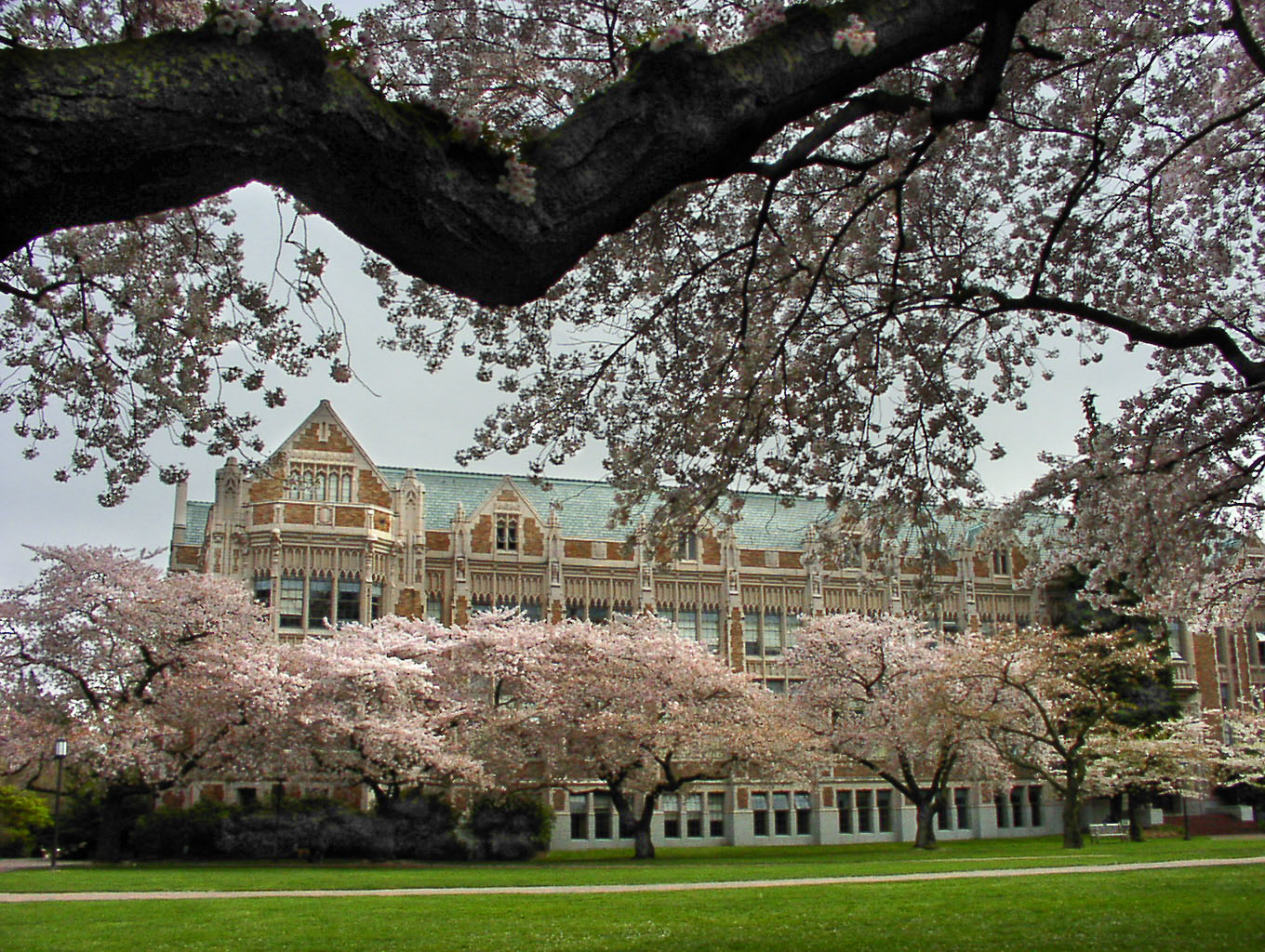 university of washington ms in computer science application deadline