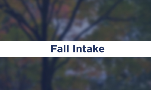 Fall Intake is considered to be an important intake because of various reasons and hence it is the most preferred for GRE Aspirants.